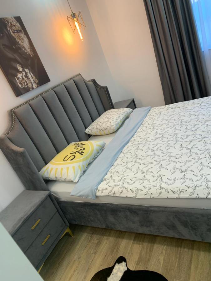 Raphael Apartment North Bucharest Cosmopolis Stefanestii de Jos Экстерьер фото